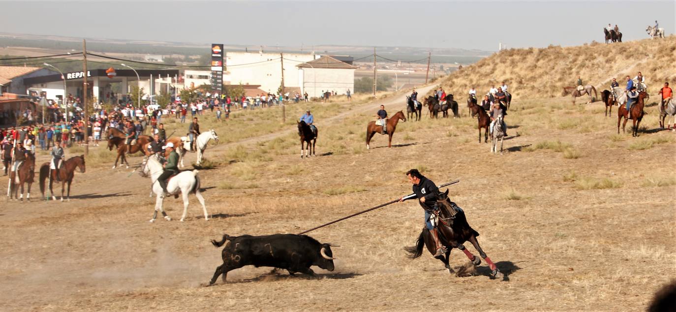 Fotos: Las fiestas de Portillo se despiden con el último encierro mixto