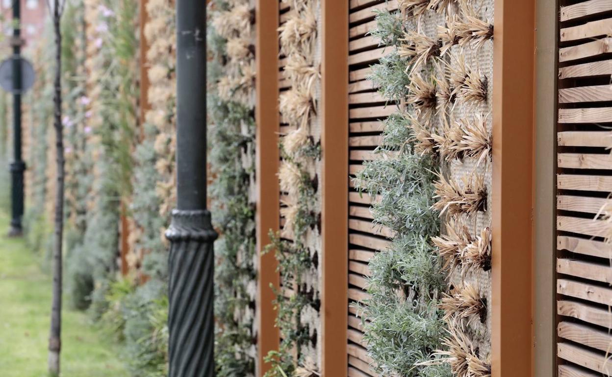 Estado actual del muro vegetal del paseo del Hospital Militar.