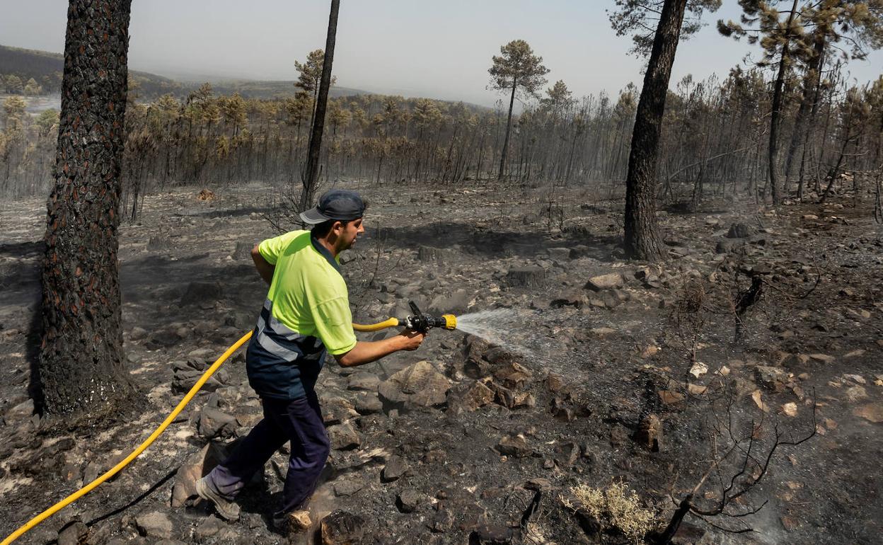 Un voluntario de El Maillo intenta evitar que el fuego se reactive.