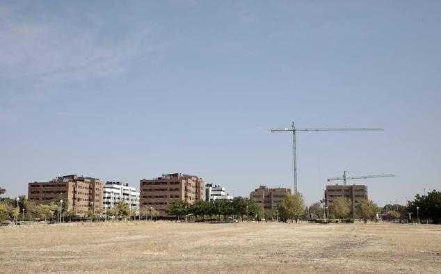 Fotos: Paisaje de grúas y excavadoras en el barrio de Viveros