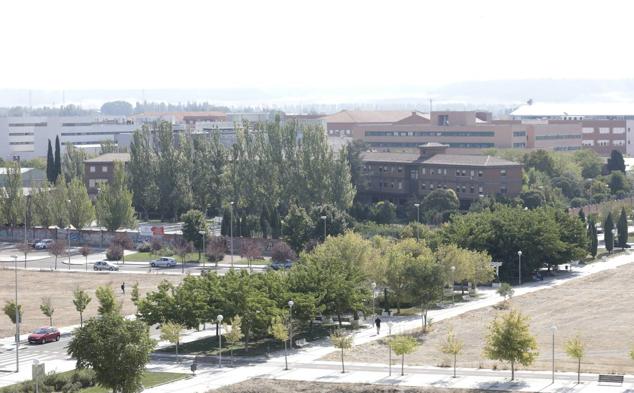 Fotos: Paisaje de grúas y excavadoras en el barrio de Viveros