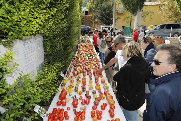 Fotos: Feria Ibérica del Tomate de Piñel de Abajo