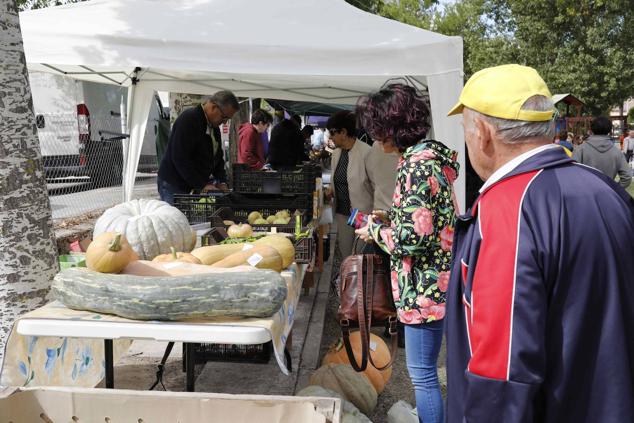 Fotos: Feria Ibérica del Tomate de Piñel de Abajo