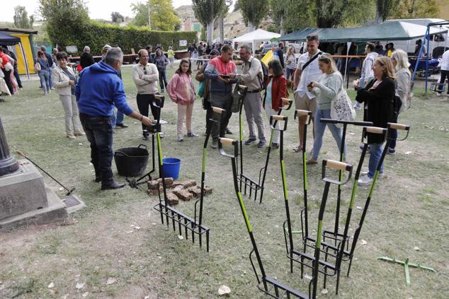 Fotos: Feria Ibérica del Tomate de Piñel de Abajo