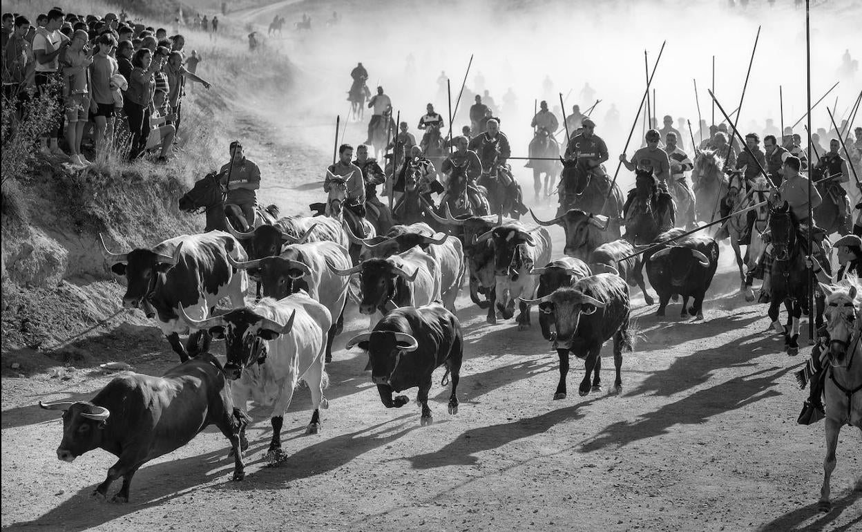 Fotografía ganadora del primer premio en el concurso fotográfico de las fiestas de Cuéllar.