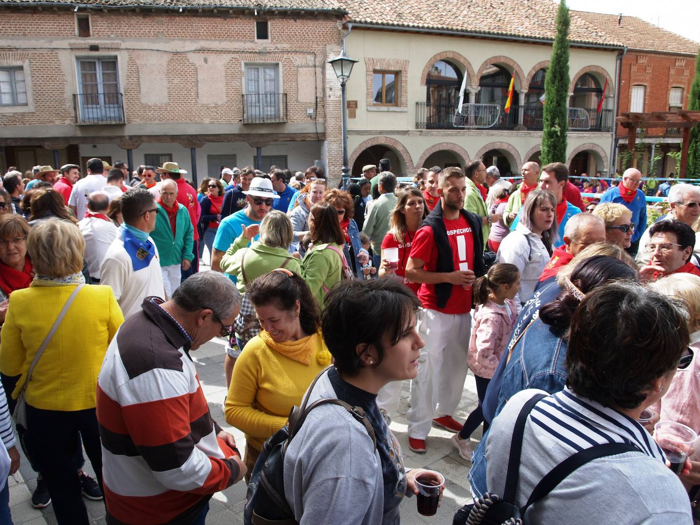 Encierro campero celebrado este miércoles por la tarde en Olmedo.