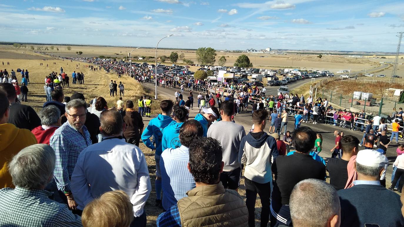 Encierro campero celebrado este miércoles por la tarde en Olmedo.