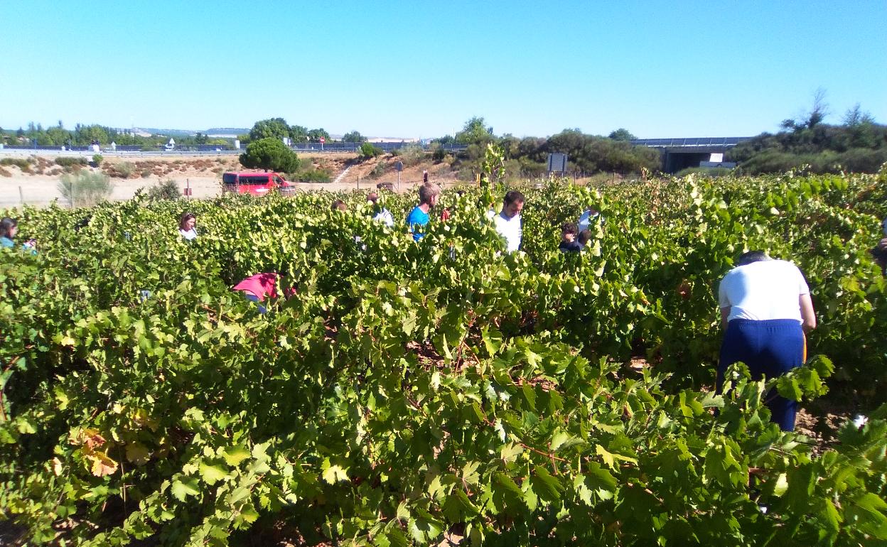 Fiesta de la Vendimia Boecillo 
