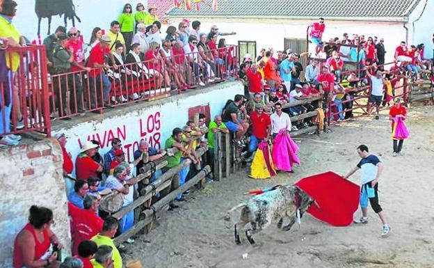 Fiestas en Muñopedro: Tradiciones por San Miguel