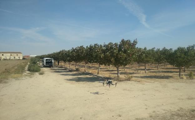 Uno de los drones que utiliza el Itacyl en una plantación de pistacho objeto de estudio.