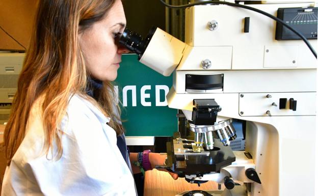 Más de 200.000 estudiantes confían cada año en la UNED. 