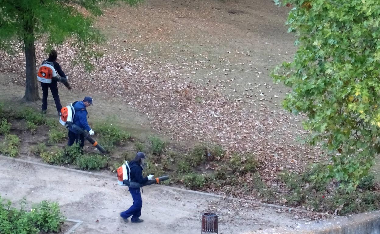 Los operarios recogen hojas caídas en un parque de la ladera norte de Parquesol. 