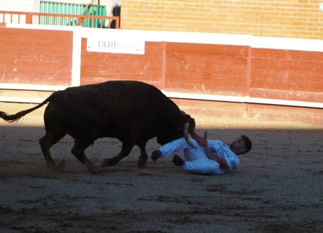 Fotos: Use sufre un revolcón durante el concurso de cortes de Mojados (Valladolid)