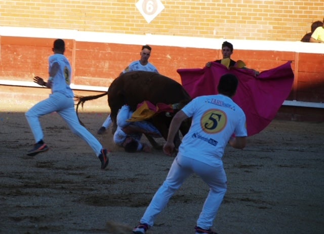 Fotos: Use sufre un revolcón durante el concurso de cortes de Mojados (Valladolid)