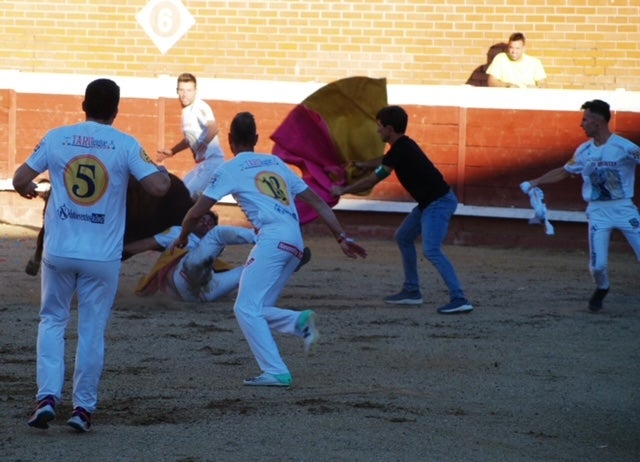 Fotos: Use sufre un revolcón durante el concurso de cortes de Mojados (Valladolid)