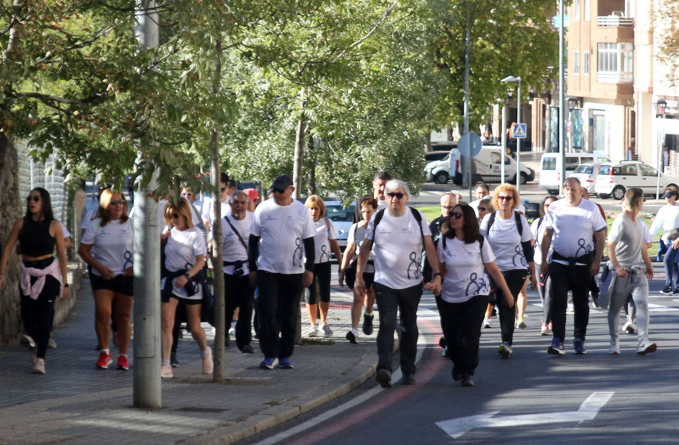Marcha Apadefim en Segovia. 
