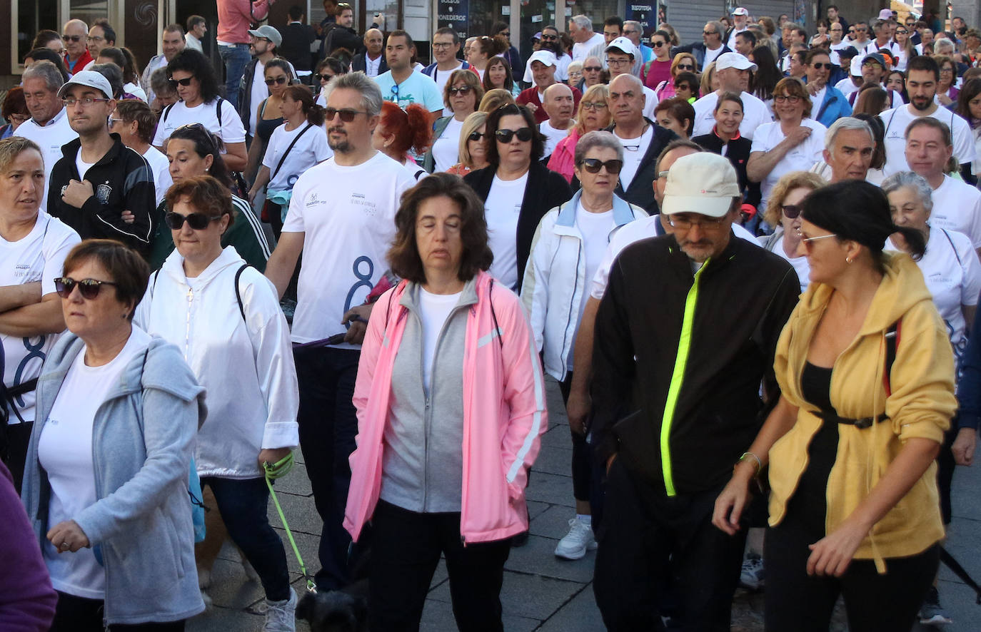 Marcha Apadefim en Segovia. 