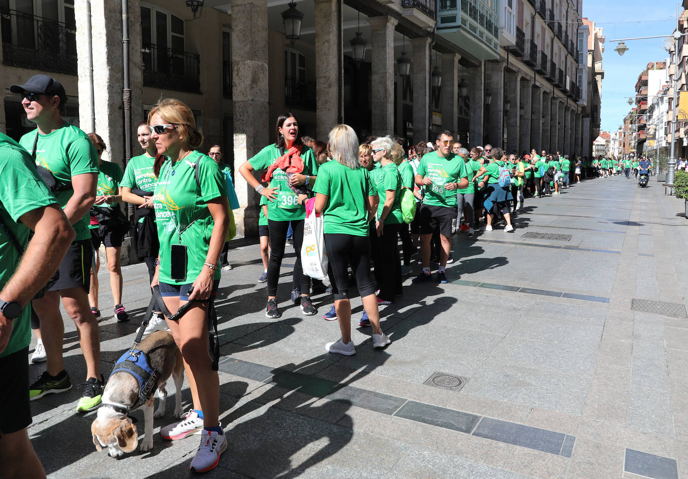 Fotos: Carrera contra el cáncer en Palencia