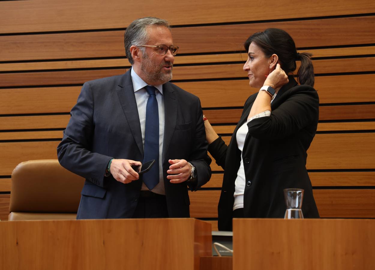 Fotos: Pleno en las Cortes de Castilla y León