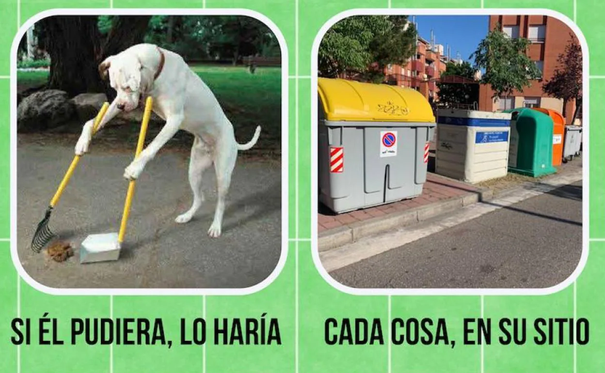 Imágenes de carteles de la campaña de limpieza distribuidos por la asociación vecinal. 