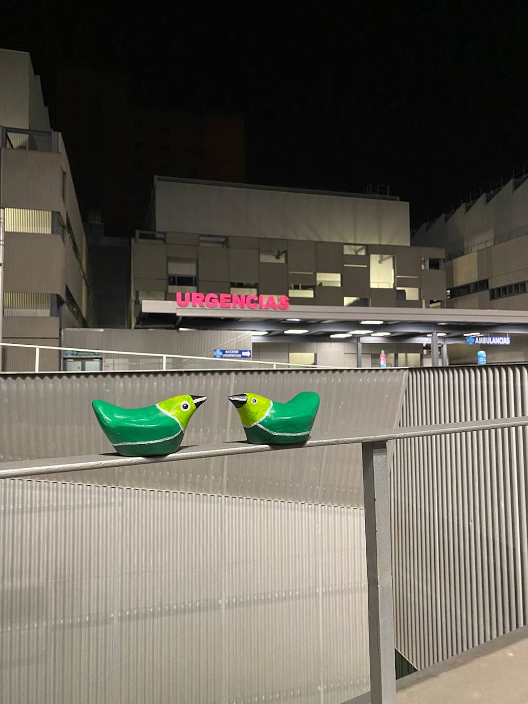 Fotos: Una bandada de reinvidicativos pájaros verdes se posa en las calles de Valladolid