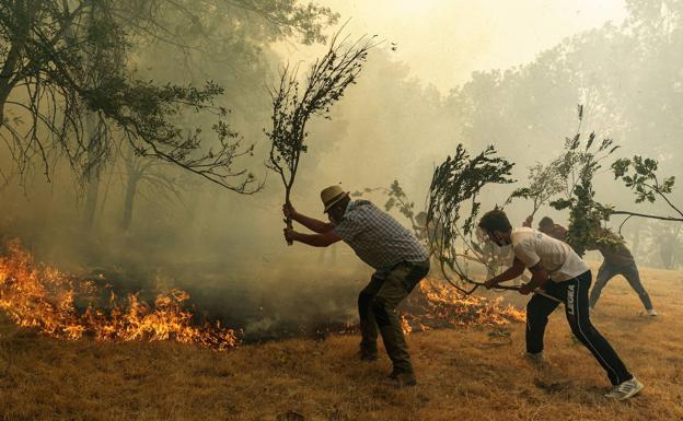 Solo el 15% de los delitos medioambientales investigados en Castilla y León acaban en el juzgado 