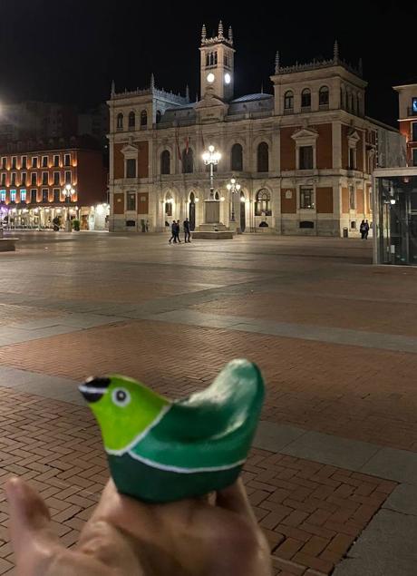 Imagen - Uno de los pájaros 'capturado' en la Plaza Mayor.