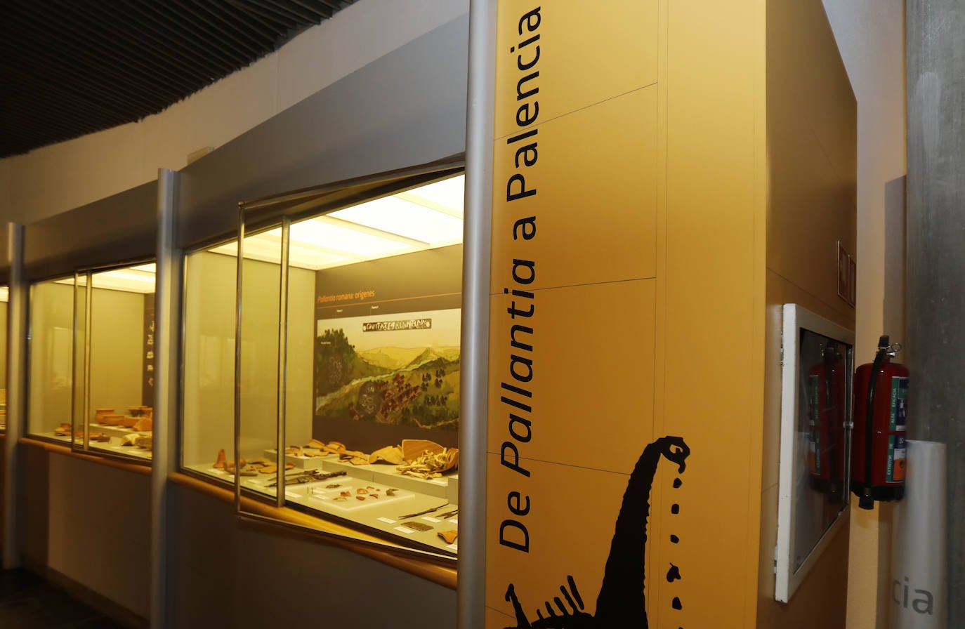 Fotos: El Museo de Palencia reabre tras la última reforma