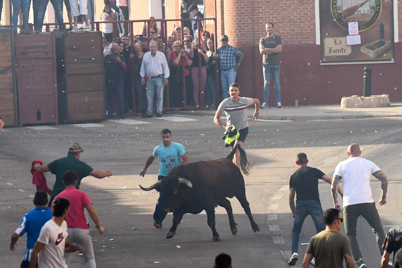 Fotos: Encierro con motivo del Día de la Vendimia en Rueda