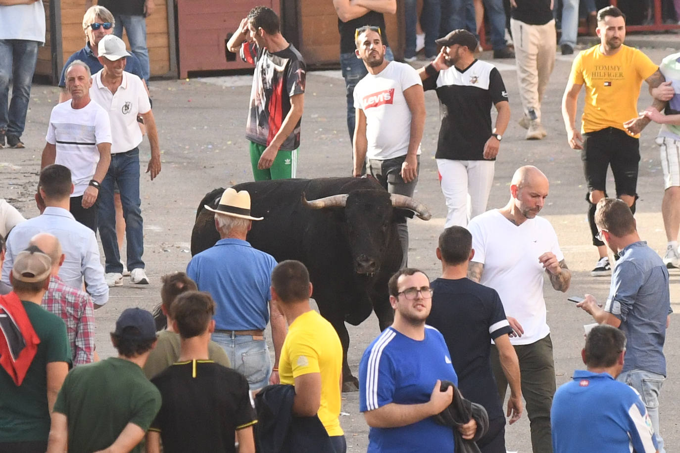 Fotos: Encierro con motivo del Día de la Vendimia en Rueda