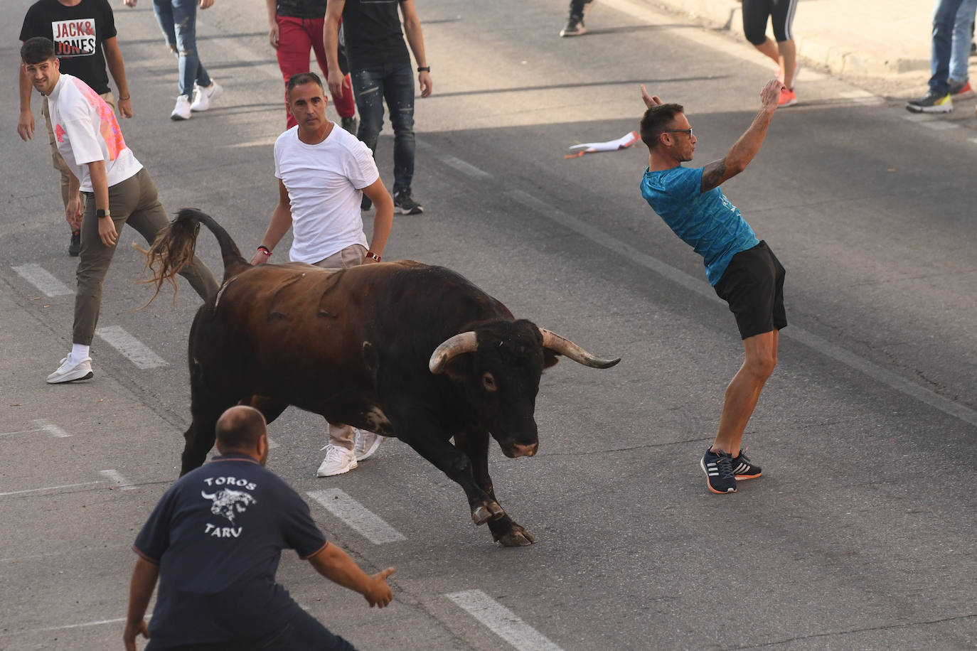 Fotos: Encierro con motivo del Día de la Vendimia en Rueda