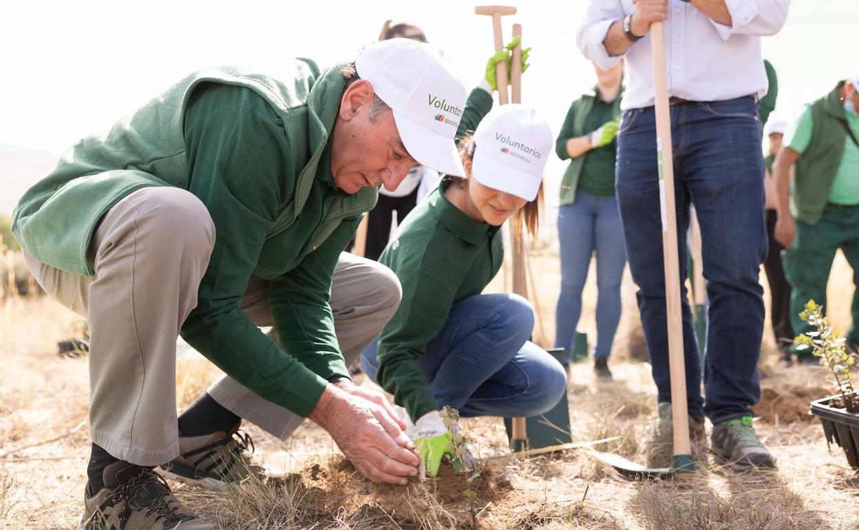 El presidente de Iberdrola, Ignacio Galán, en la jornada abulense de reforestación.