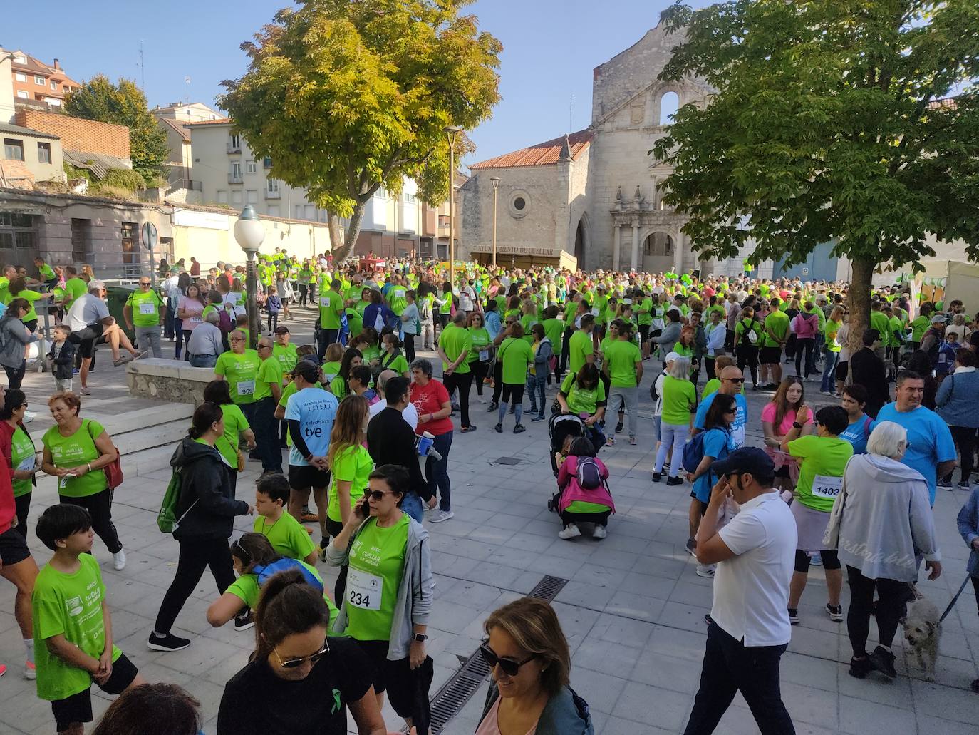 La 'marea verde' de la lucha contra el cáncer ha recorrido Cuéllar este domingo. 