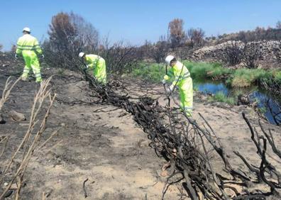 Imagen secundaria 1 - ¿Qué es el helimulching? Técnicas para recuperar el monte tras los incendios