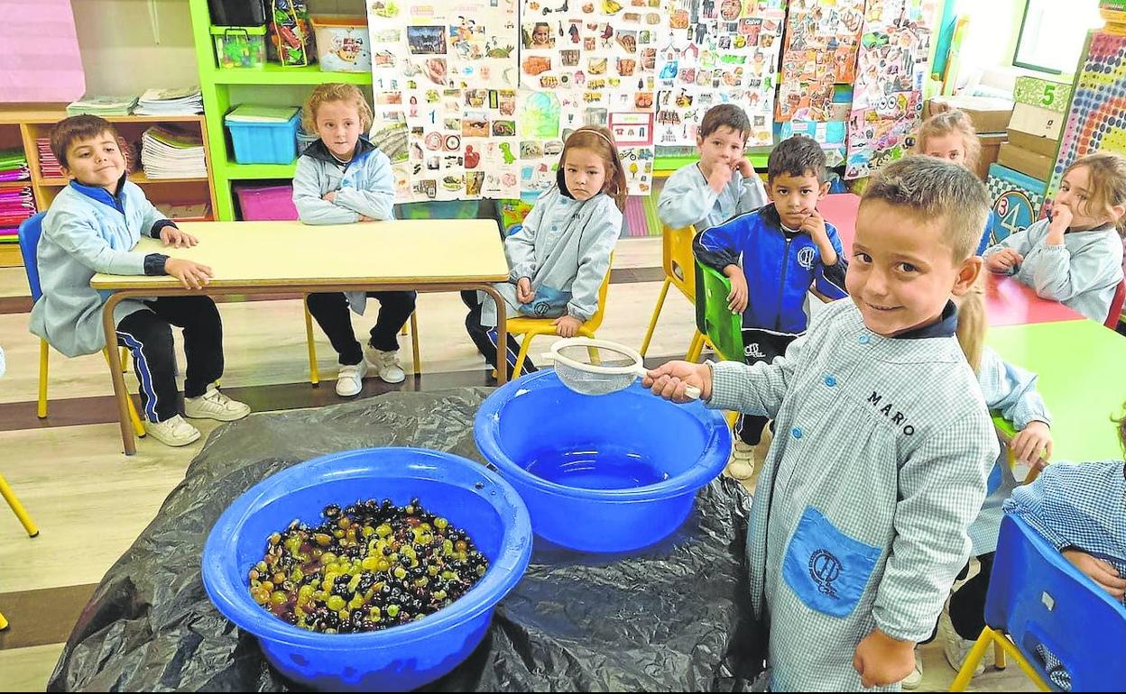 La receta de su primer mosto