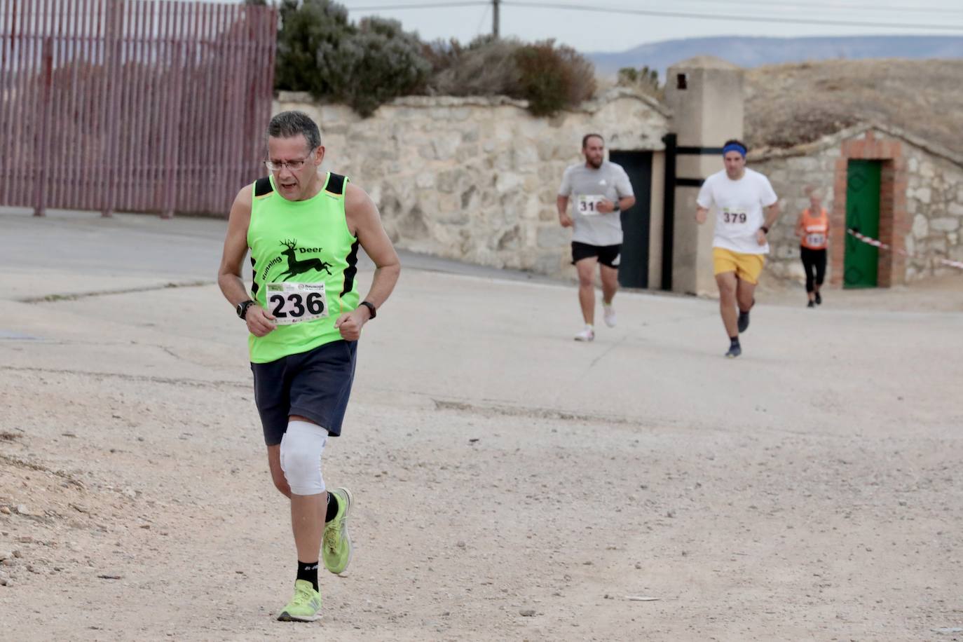 Fotos: Centenares de corredores participan en la segunda etapa del circuito Corriendo Entre Viñas en Cigales