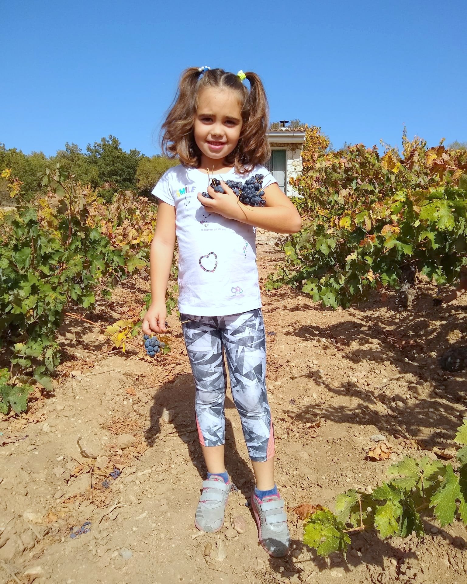 Castrillo de Don Juan se vuelca con la XIV Fiesta de la Vendimia