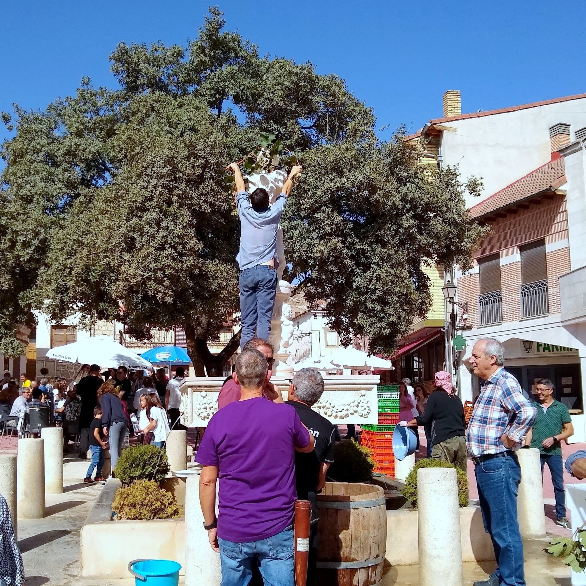 Castrillo de Don Juan se vuelca con la XIV Fiesta de la Vendimia