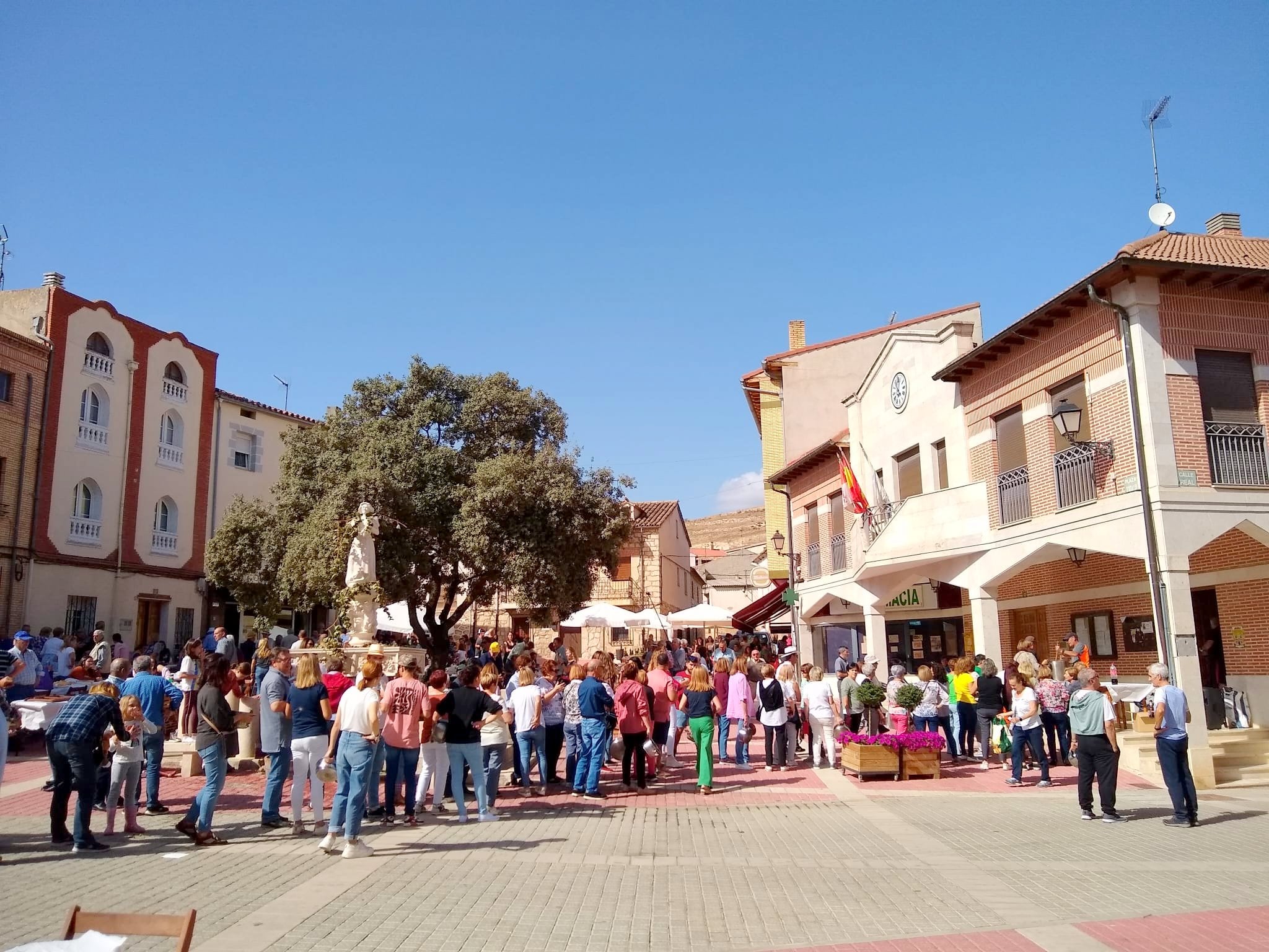 Castrillo de Don Juan se vuelca con la XIV Fiesta de la Vendimia