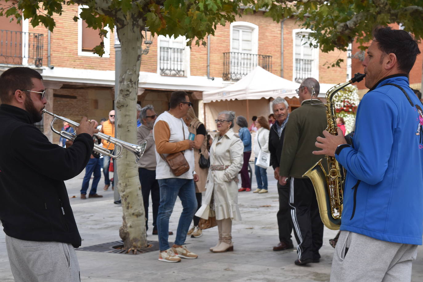 Fotos: Feria de exaltación de la patata del Boedo-Ojeda