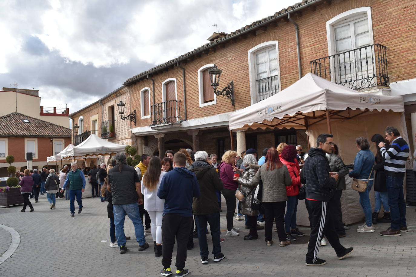 Fotos: Feria de exaltación de la patata del Boedo-Ojeda