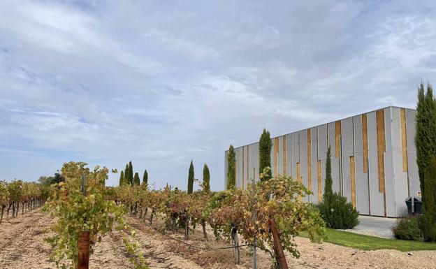 Imagen principal - Vista exterior de la bodega. Abajo, Martina Prieto Pariente explica dónde se sitúan los viñedos de Bodegas José Pariente. 