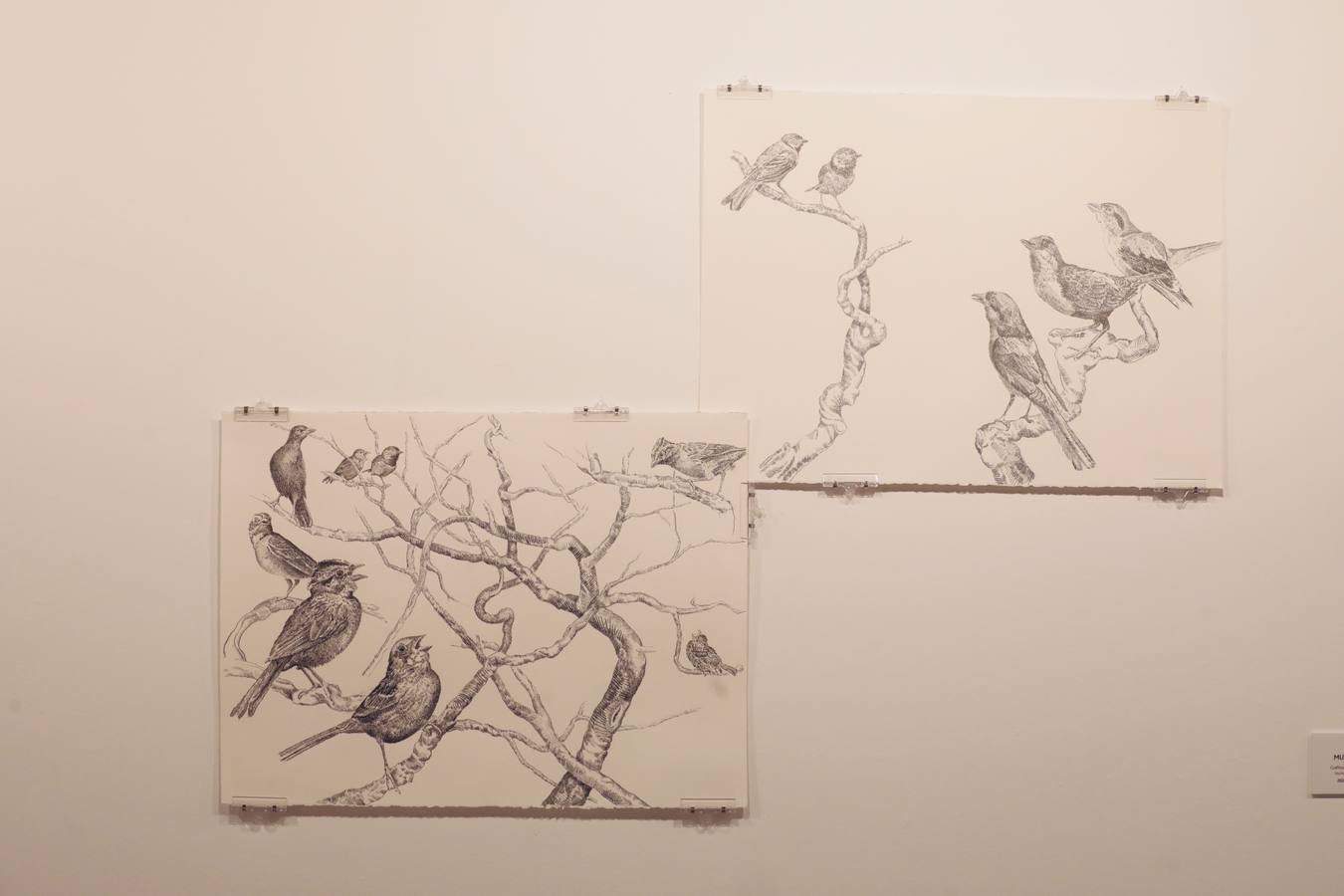 Fotos: Exposición &#039;Menuet&#039; de Jesús Alonso en el Palacio de Pimentel de Valladolid