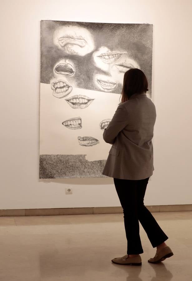 Fotos: Exposición &#039;Menuet&#039; de Jesús Alonso en el Palacio de Pimentel de Valladolid