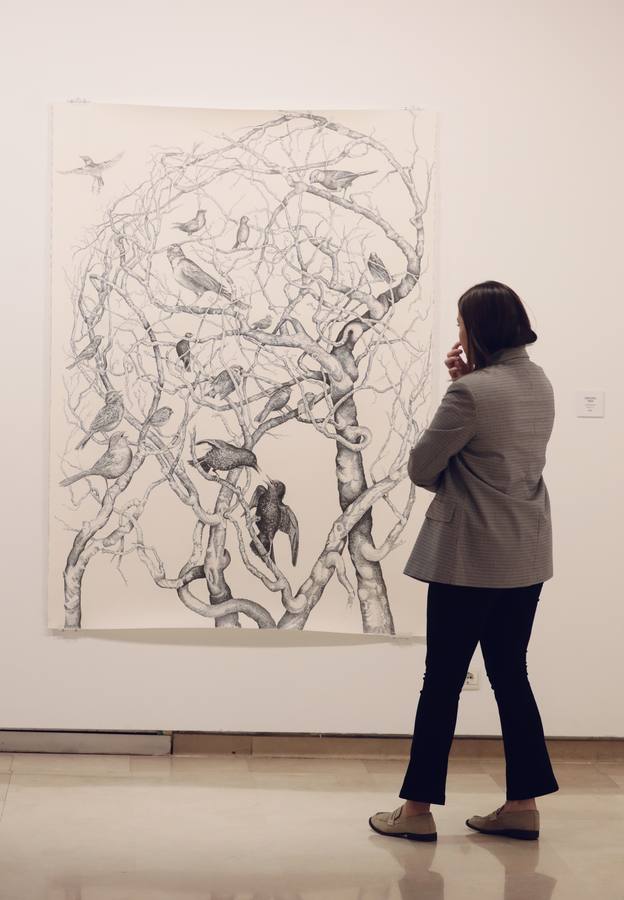 Fotos: Exposición &#039;Menuet&#039; de Jesús Alonso en el Palacio de Pimentel de Valladolid