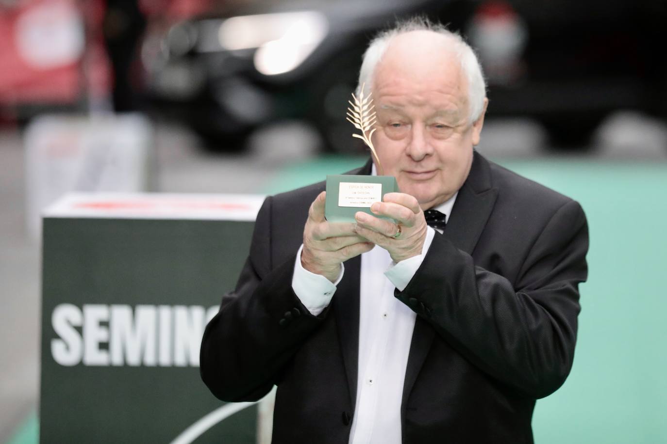 Fotos: Alfombra verde en la clausura de la Seminci 2022 (3/4)