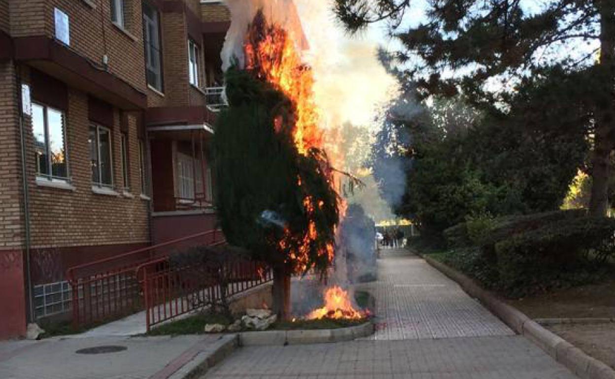 El ciprés ardiendo en un jardín de la calle Rigoberto Cortejoso en Huerta del Rey. 