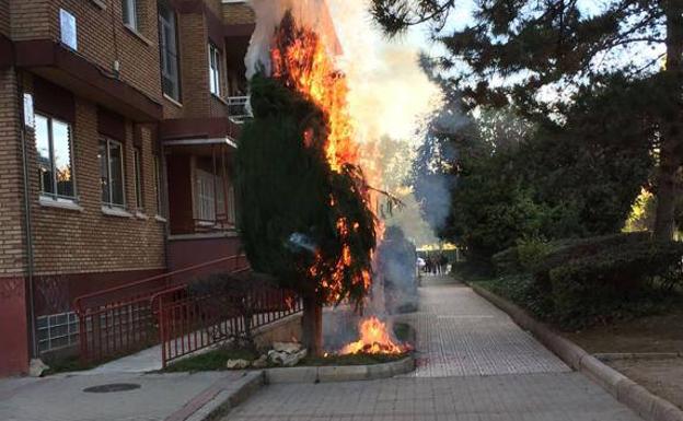 Arde un árbol junto a unas viviendas en Huerta del Rey