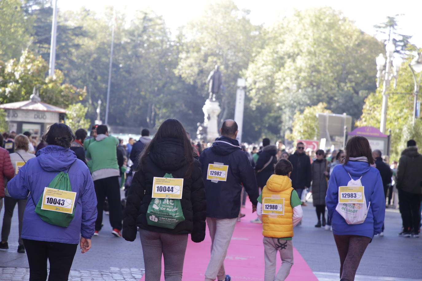 Fotos: La marcha contra el cáncer llena Valladolid de verde