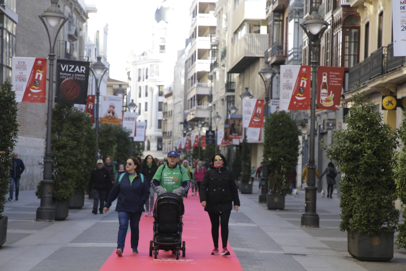 Fotos: La marcha contra el cáncer llena Valladolid de verde